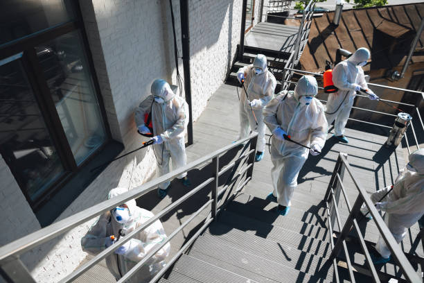 East Sonora, CA Mold Removal Company